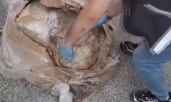İzmir'de uyuşturucu satıcılarından köpeklere balık engeli!